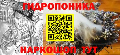a pvp Кунгур