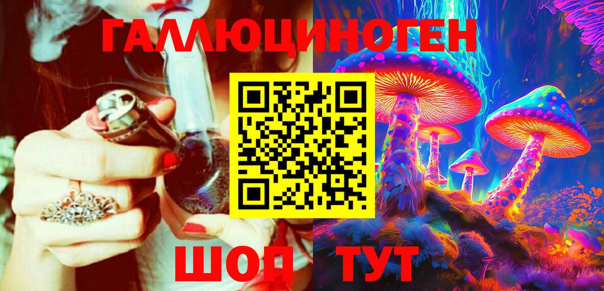 Галлюциногенные грибы Psilocybine cubensis Кудымкар