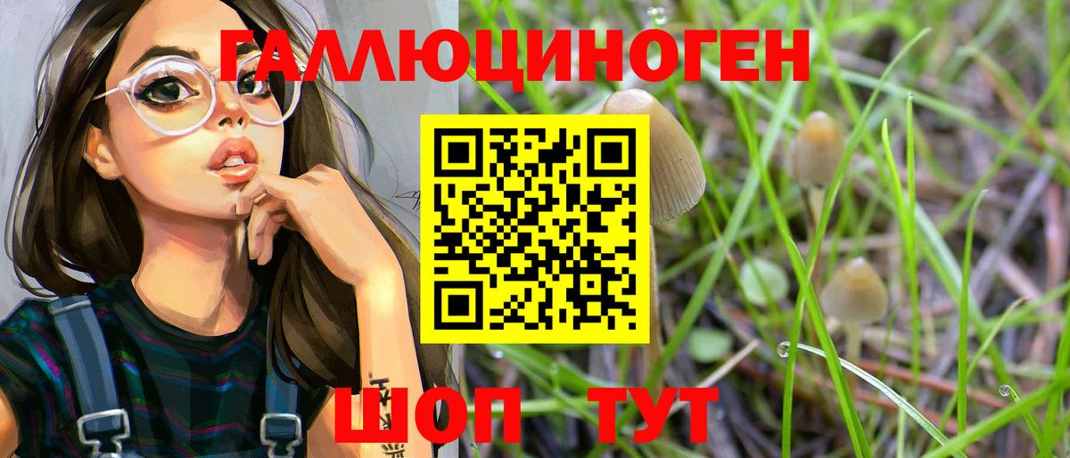 Кудымкар  Галлюциногенные грибы прущие грибы  Вход с VPN  Галлюциногенные грибы прущие грибы 